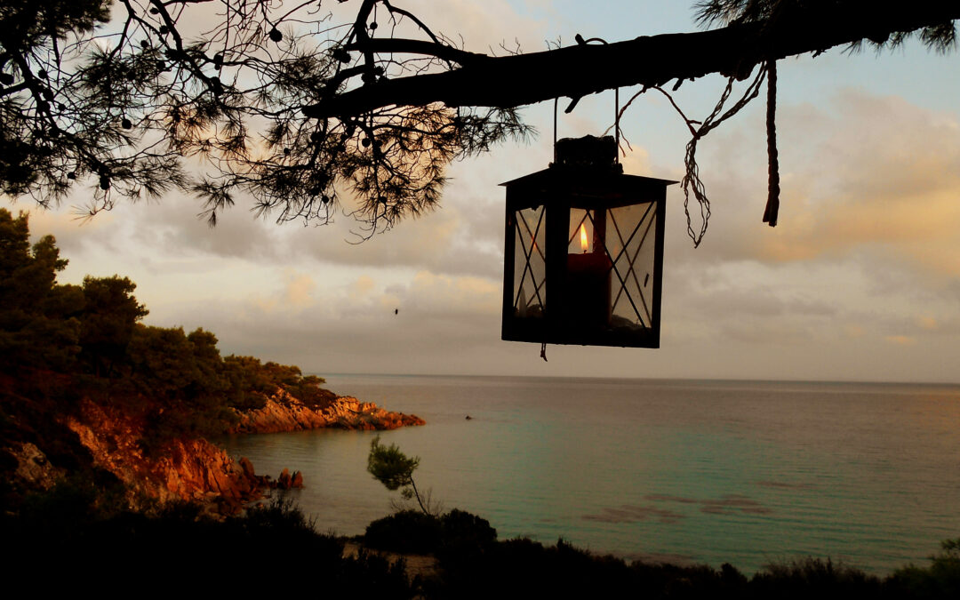 In to the Paradise